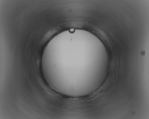 X0000093560120200710151004