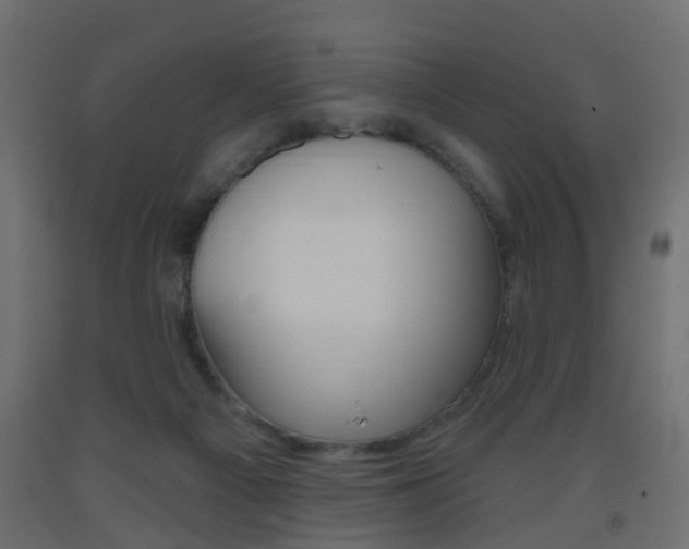 X0000093560121200710151004