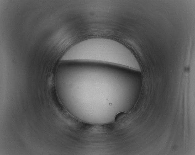X0000093560123200710151004