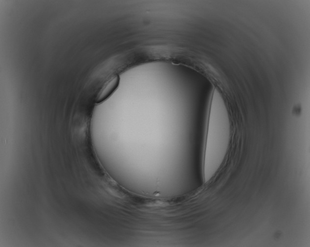 X0000093560125200710151004