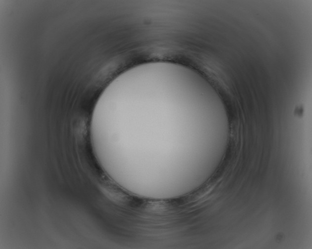 X0000093560127200710151004