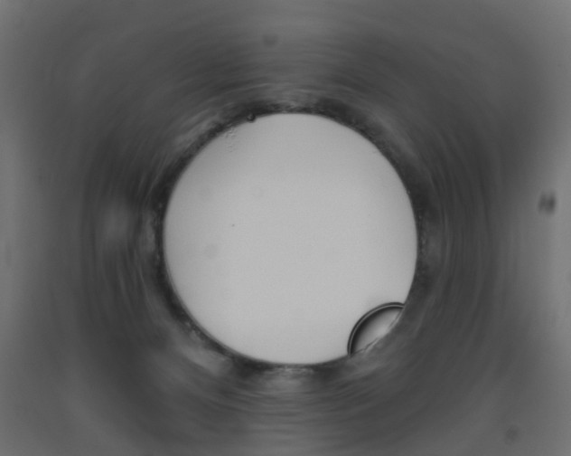 X0000093560128200710151004