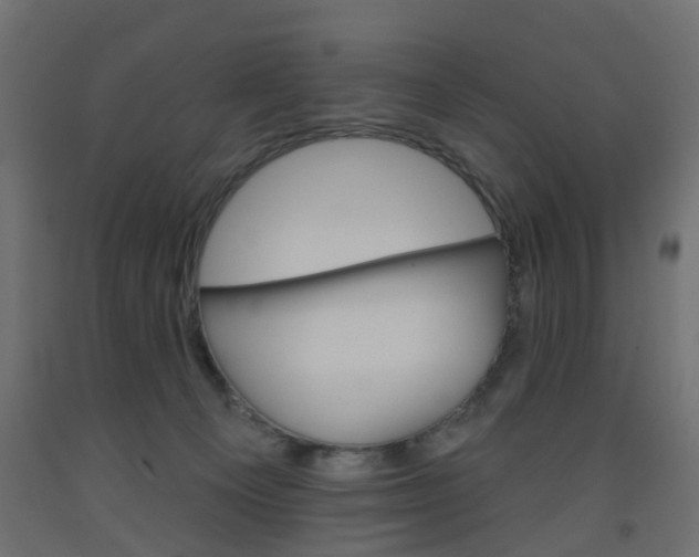 X0000093560129200710151004