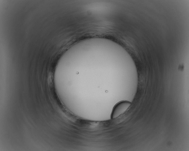 X0000093560130200710151004