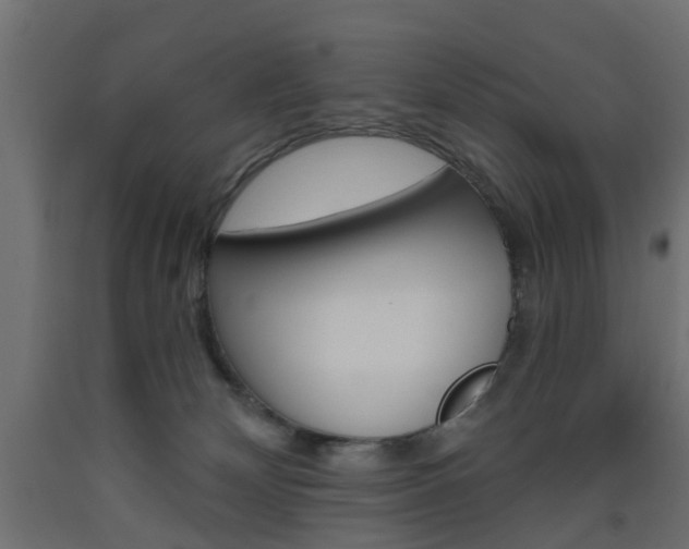 X0000093560132200710151004