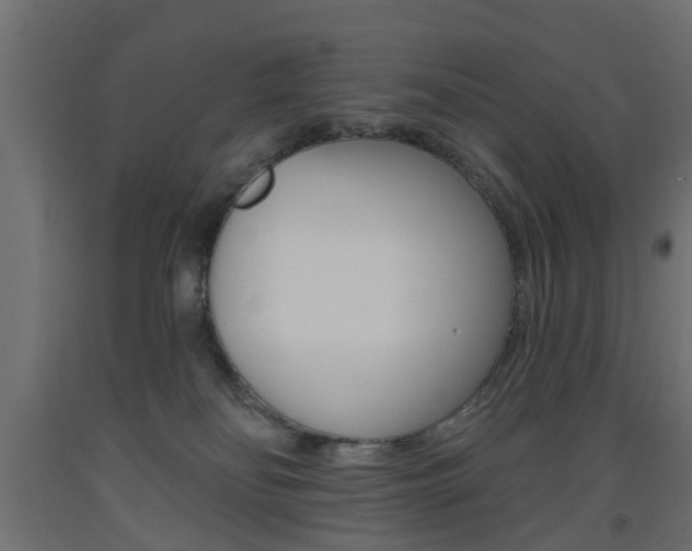 X0000093560134200710151004