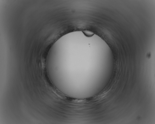 X0000093560135200710151004