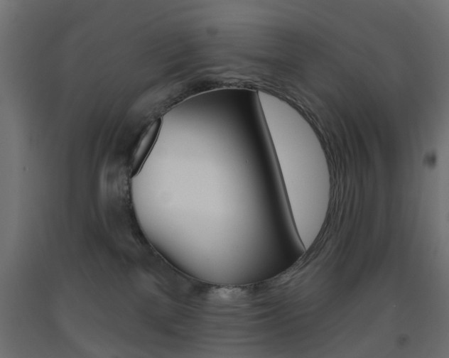 X0000093560137200710151003