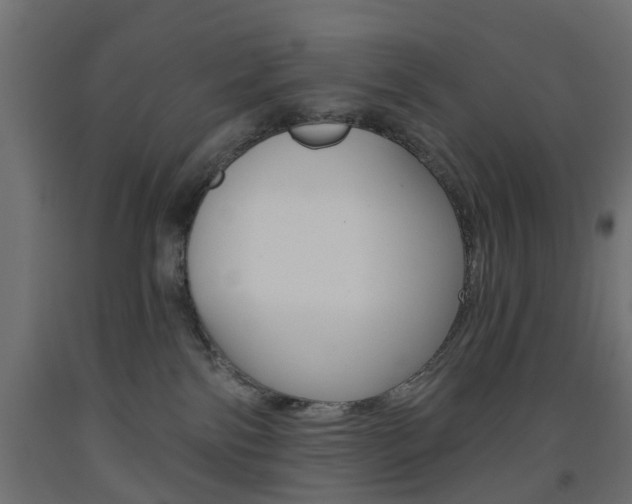 X0000093560138200710151003