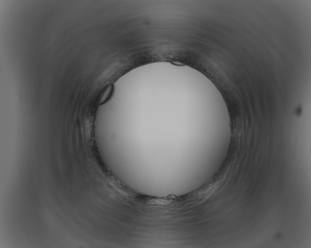X0000093560139200710151003