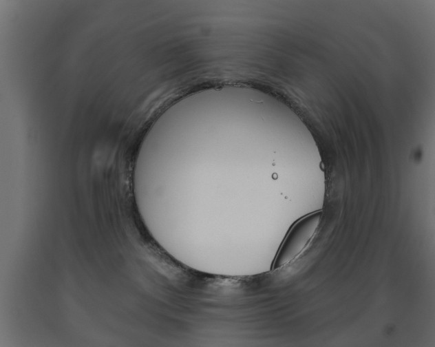 X0000093560140200710151003