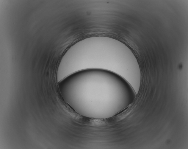 X0000093560141200710151003