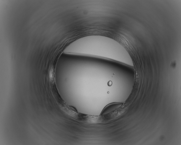 X0000093560143200710151003