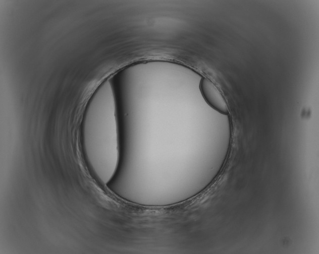X0000093560145200710151003