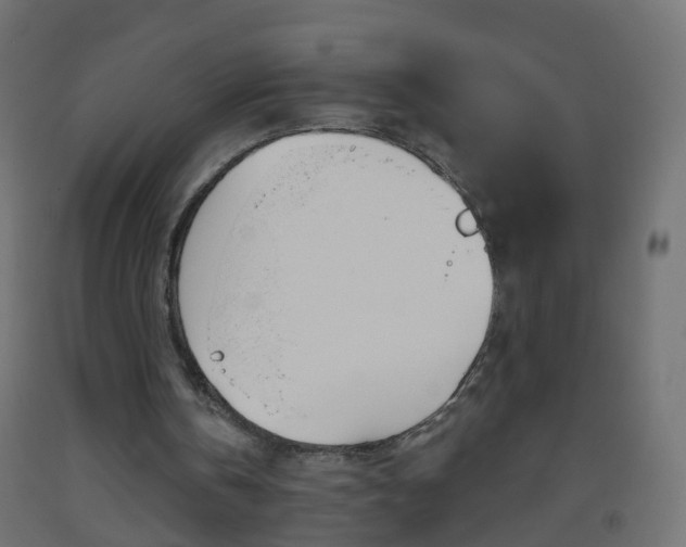 X0000093560146200710151003