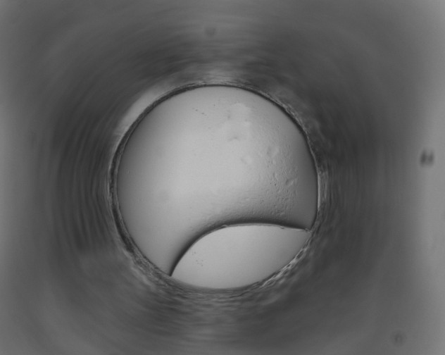 X0000093560147200710151003