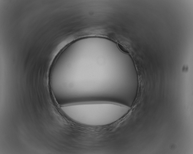 X0000093560148200710151003