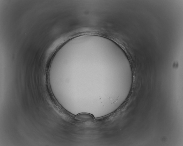 X0000093560149200710151003