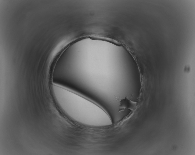 X0000093560150200710151003