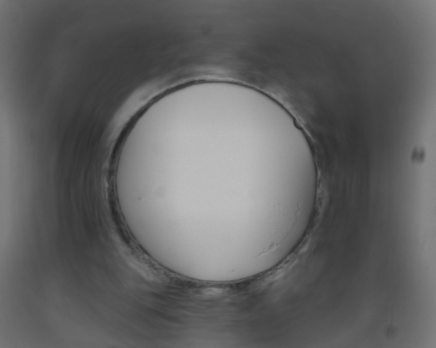 X0000093560151200710151003
