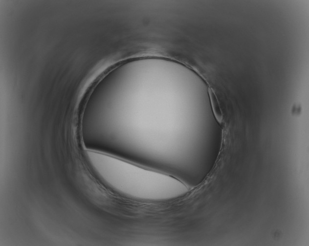 X0000093560152200710151003