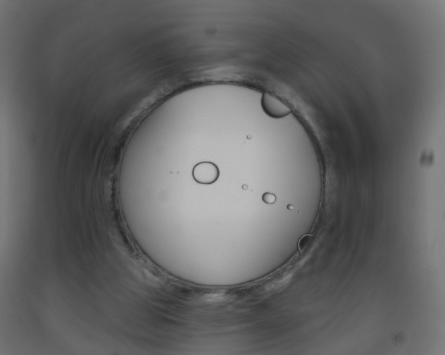 X0000093560153200710151003