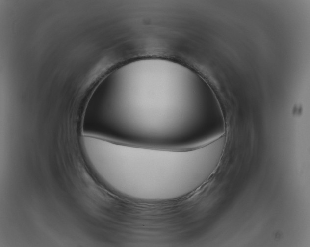 X0000093560154200710151003