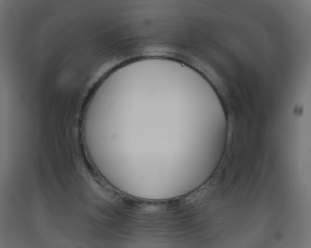 X0000093560155200710151003