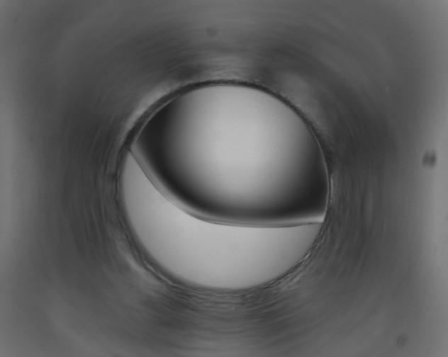 X0000093560156200710151003
