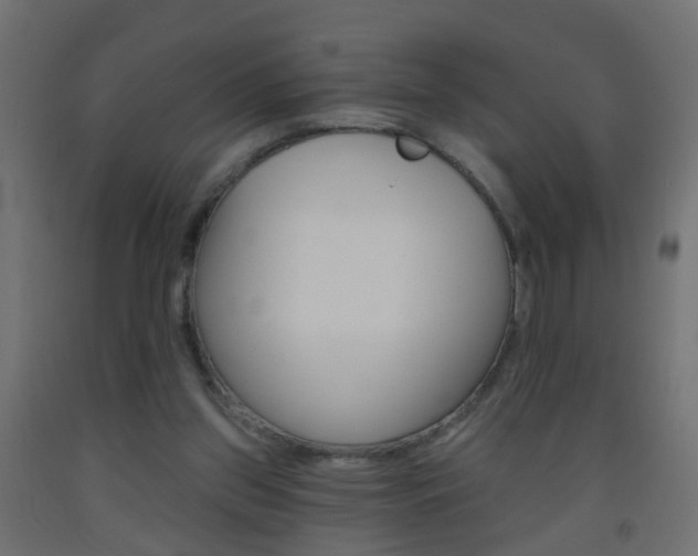 X0000093560157200710151003