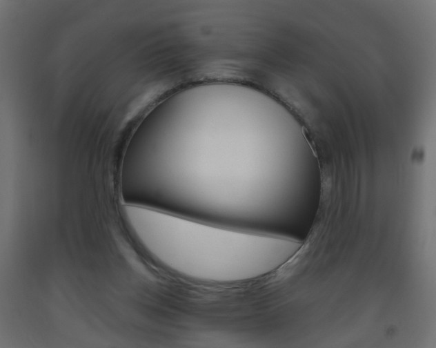 X0000093560158200710151003