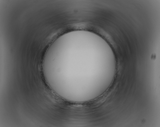 X0000093560161200710151003