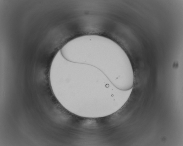X0000093560162200710151003