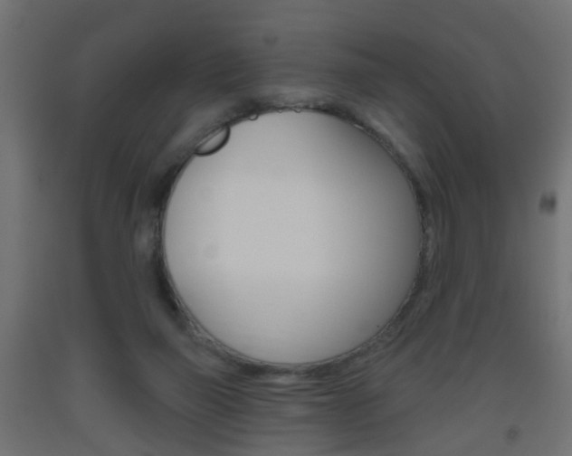 X0000093560165200710151003