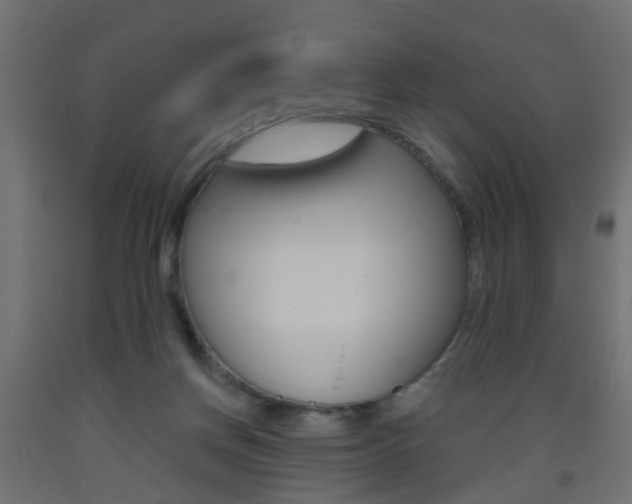 X0000093560166200710151003