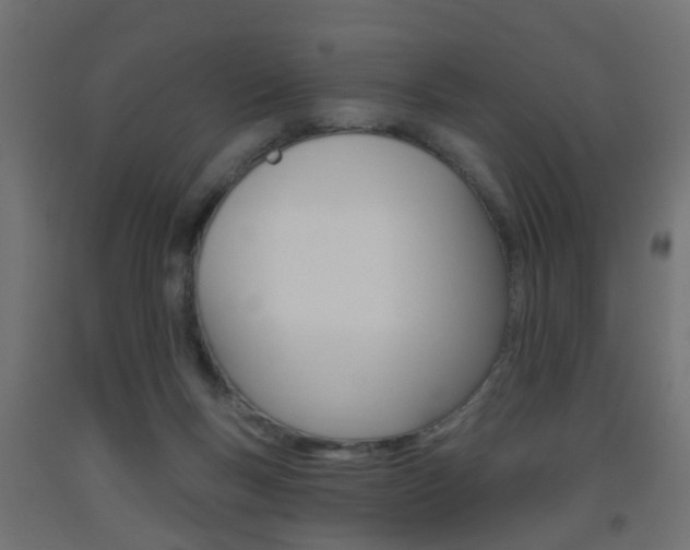 X0000093560167200710151003
