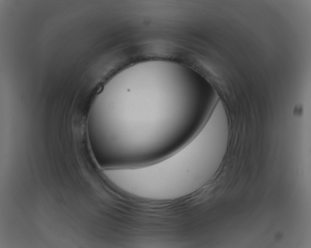 X0000093560168200710151003