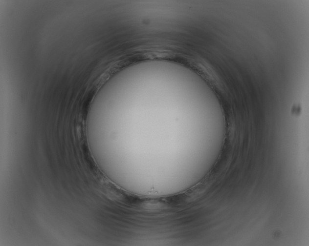 X0000093560169200710151003