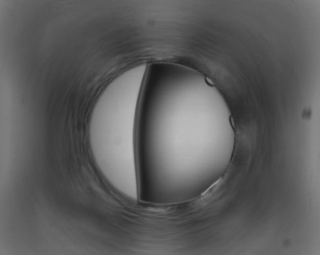 X0000093560170200710151003