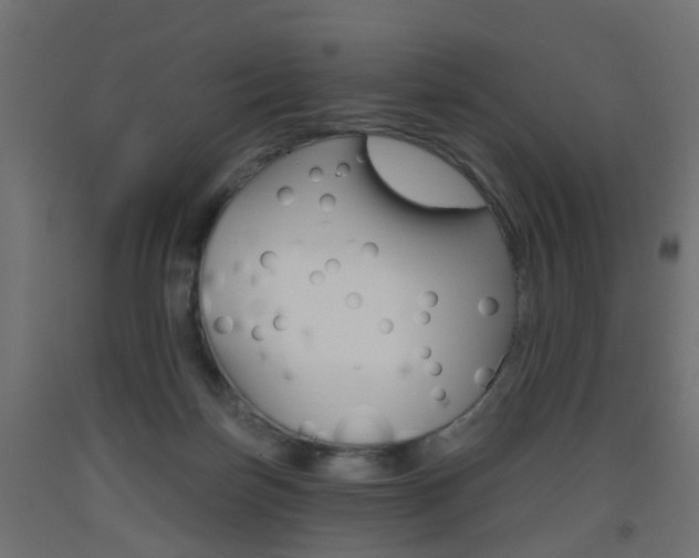 X0000093560171200710151003
