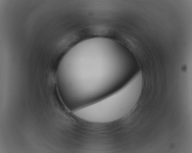 X0000093560172200710151003