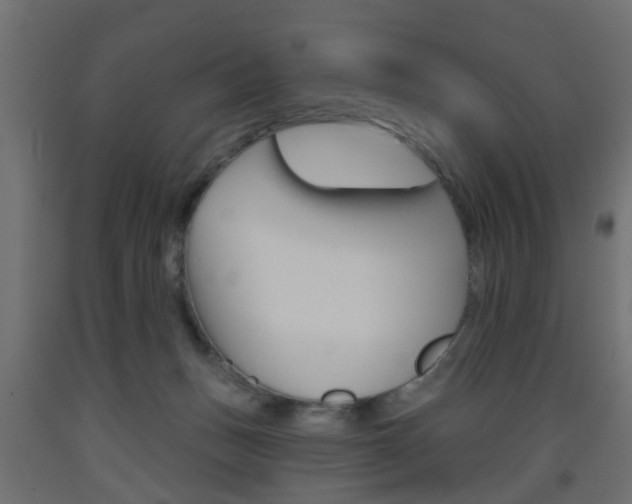 X0000093560175200710151003