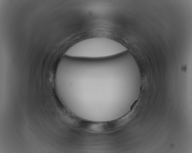 X0000093560178200710151003