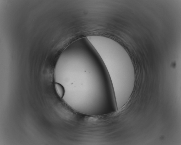 X0000093560180200710151003