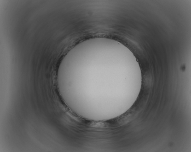 X0000093560181200710151003