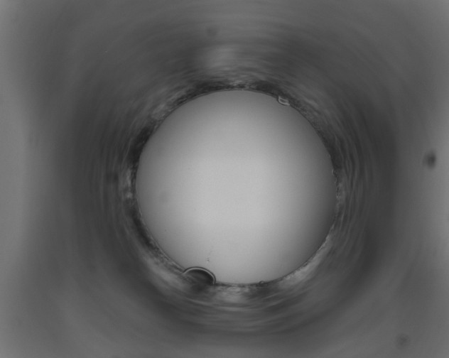 X0000093560182200710151003