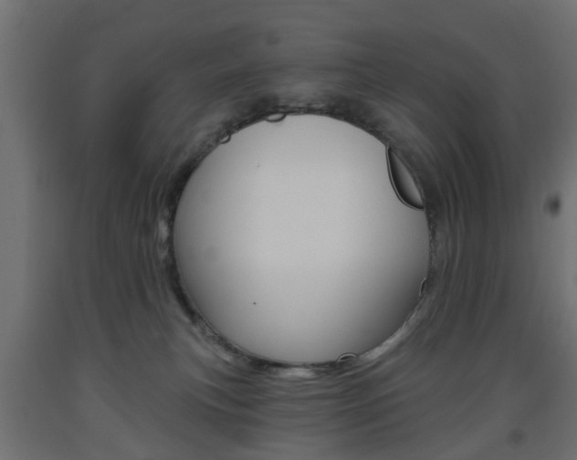 X0000093560183200710151003