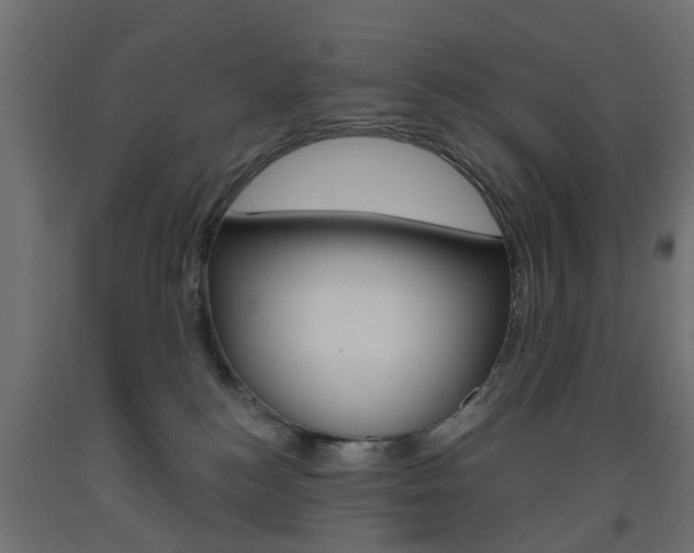 X0000093560184200710151003