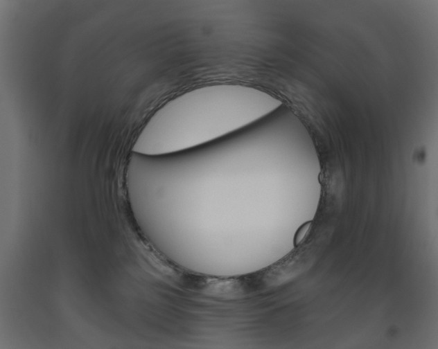 X0000093560185200710151003