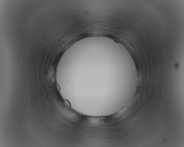 X0000093560187200710151003